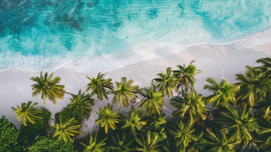 Tuinfeest Organiseren: Tropical Beach